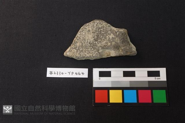 陶片藏品圖，第1張