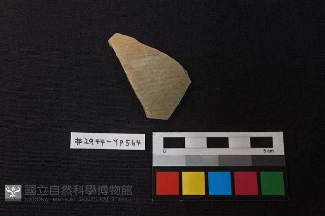 陶片藏品圖，第1張