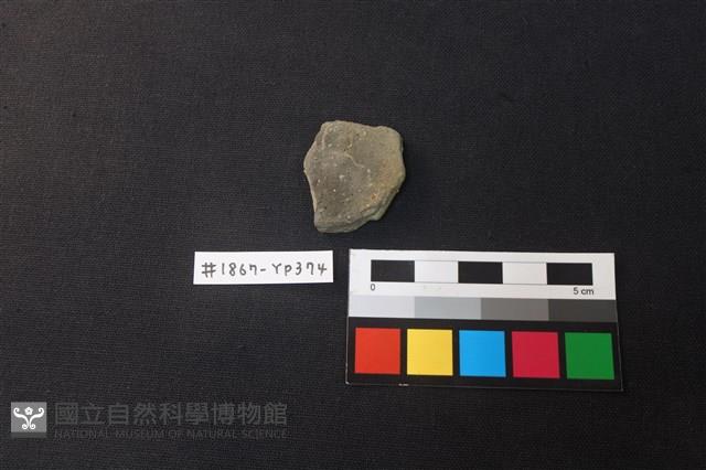 陶片藏品圖，第1張