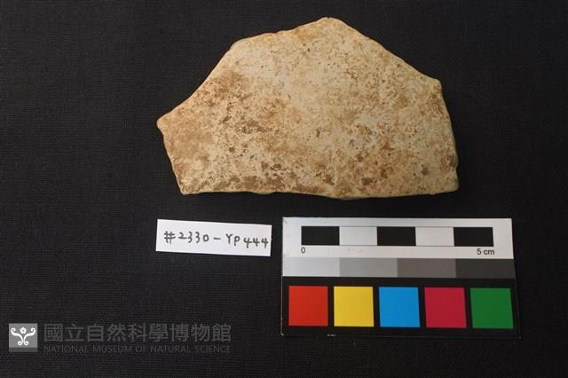 陶片藏品圖，第1張