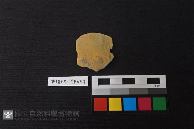 陶片藏品圖，第1張