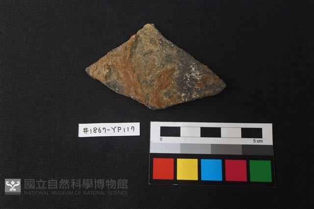陶片藏品圖，第1張