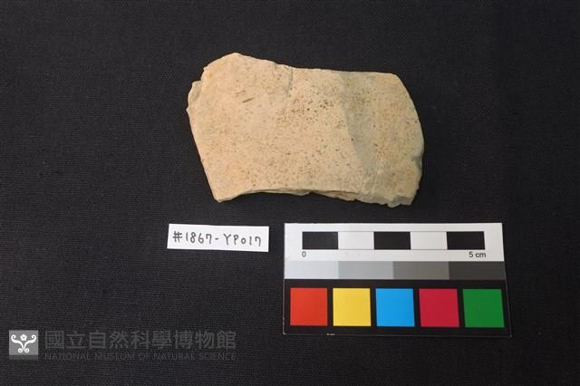 陶片藏品圖，第1張