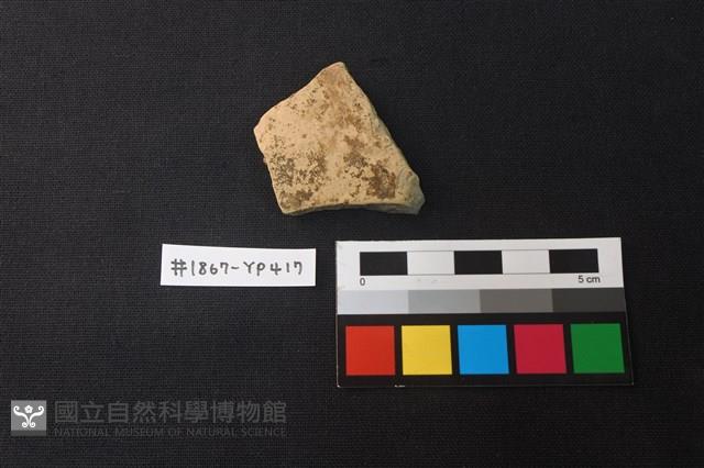 陶片藏品圖，第1張