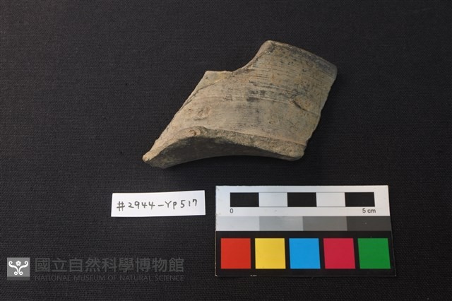 陶片藏品圖，第1張