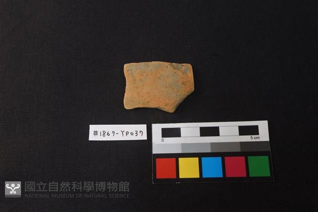 陶片藏品圖，第1張