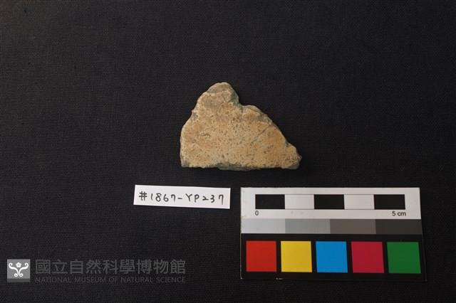 陶片藏品圖，第1張