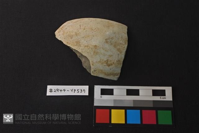 陶片藏品圖，第1張