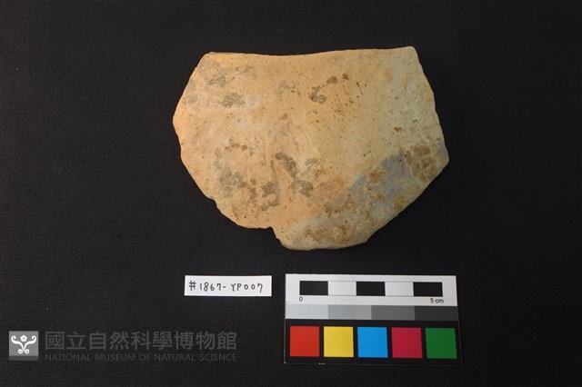 陶片藏品圖，第1張