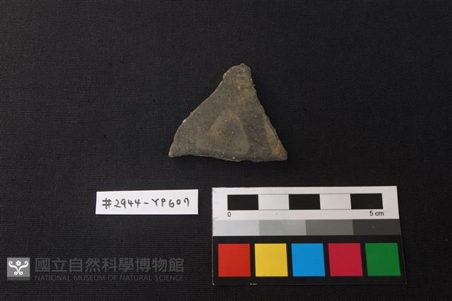 陶片藏品圖，第1張