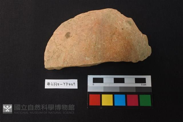 陶片藏品圖，第1張