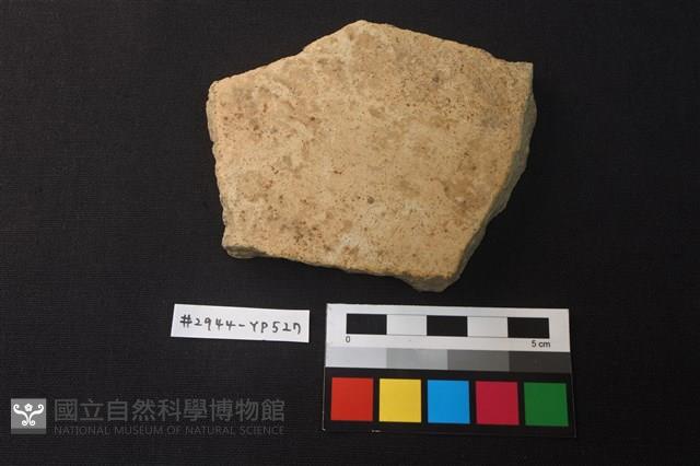 陶片藏品圖，第1張