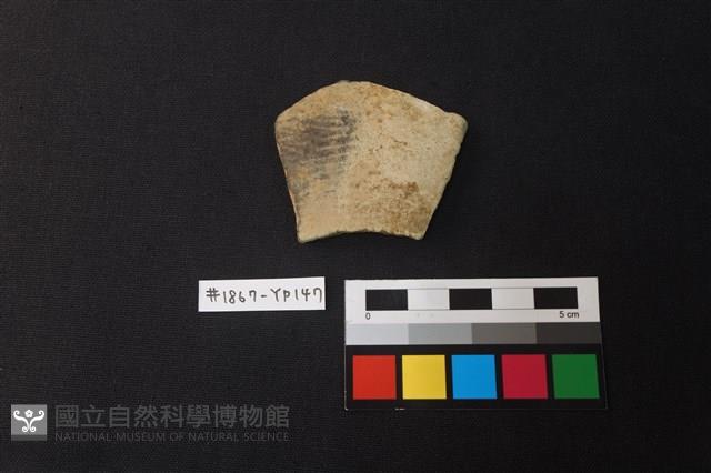 陶片藏品圖，第1張