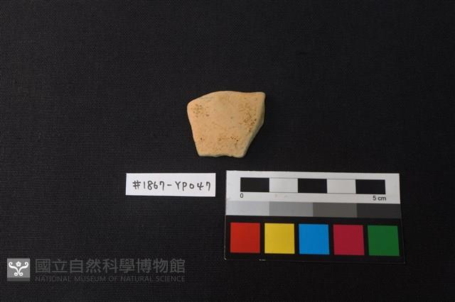 陶片藏品圖，第1張