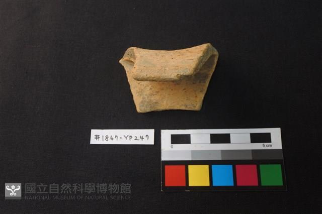 陶片藏品圖，第1張