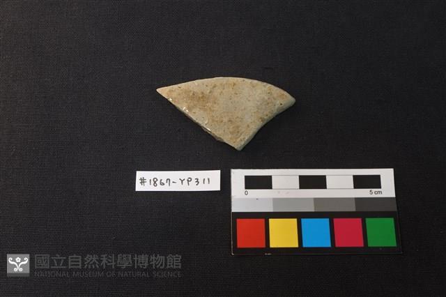陶片藏品圖，第1張
