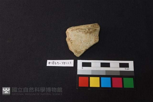 陶片藏品圖，第1張