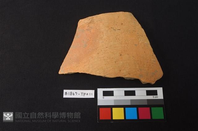 陶片藏品圖，第1張