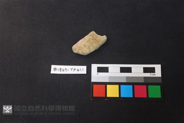 陶片藏品圖，第1張