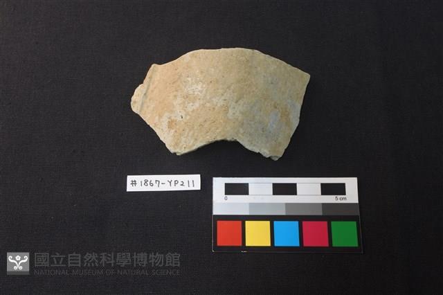陶片藏品圖，第1張