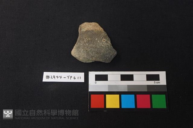 陶片藏品圖，第1張