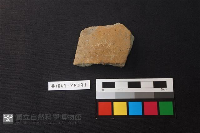 陶片藏品圖，第1張