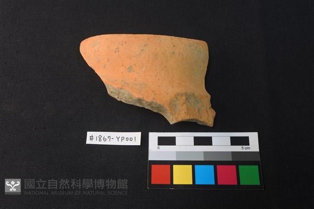 陶片藏品圖，第1張