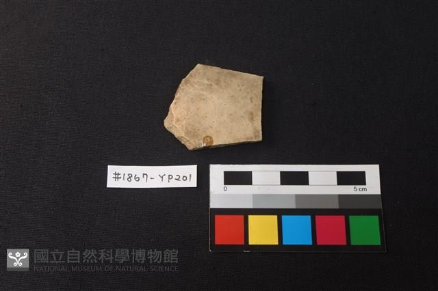 陶片藏品圖，第1張
