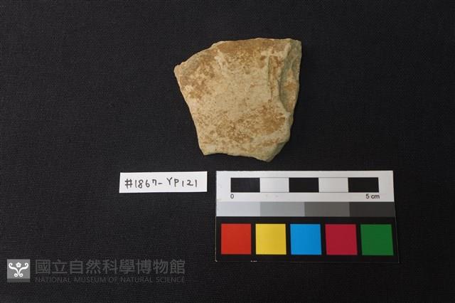 陶片藏品圖，第1張