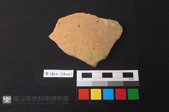 陶片藏品圖，第1張