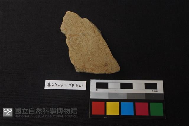 陶片藏品圖，第1張