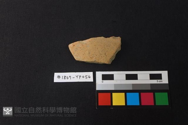 陶片藏品圖，第1張