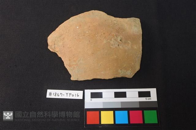 陶片藏品圖，第1張