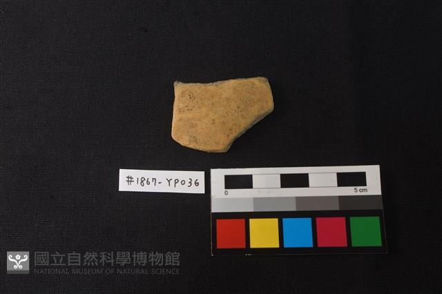 陶片藏品圖，第1張