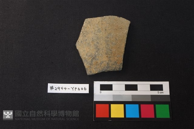 陶片藏品圖，第1張