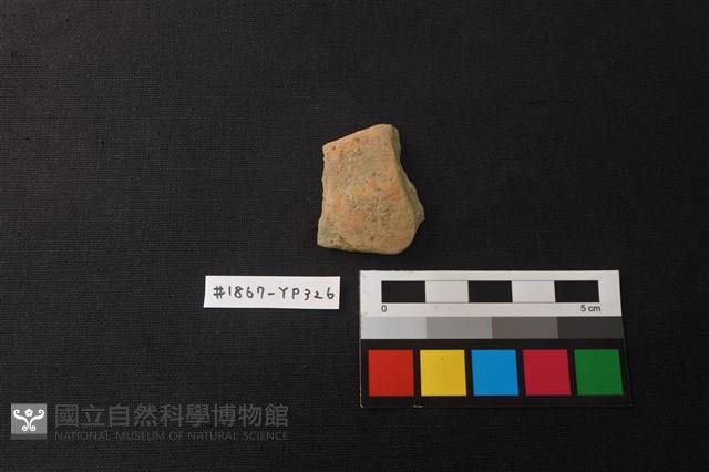 陶片藏品圖，第1張