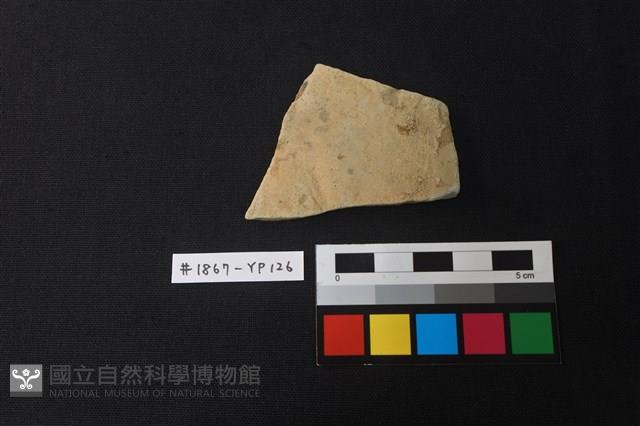 陶片藏品圖，第1張