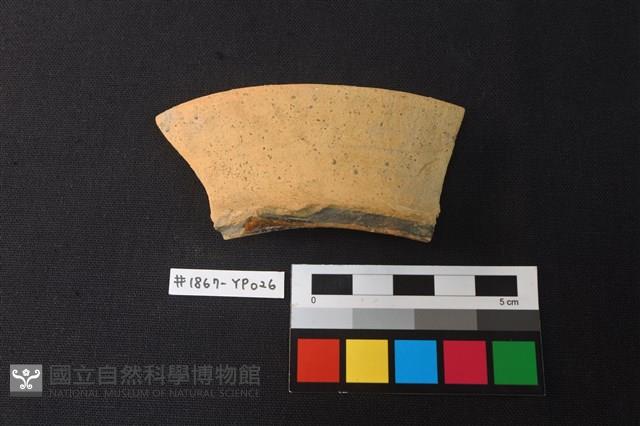 陶片藏品圖，第1張