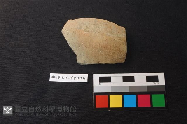 陶片藏品圖，第1張