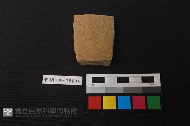 陶片藏品圖，第1張