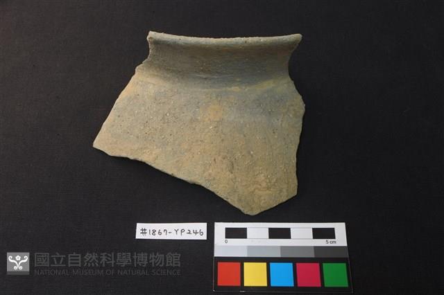 陶片藏品圖，第1張