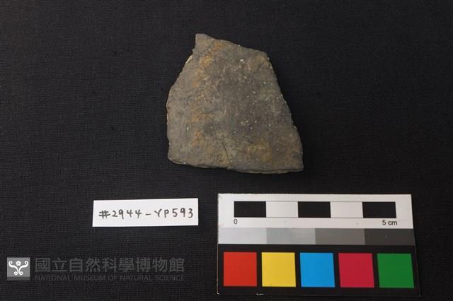 陶片藏品圖，第1張