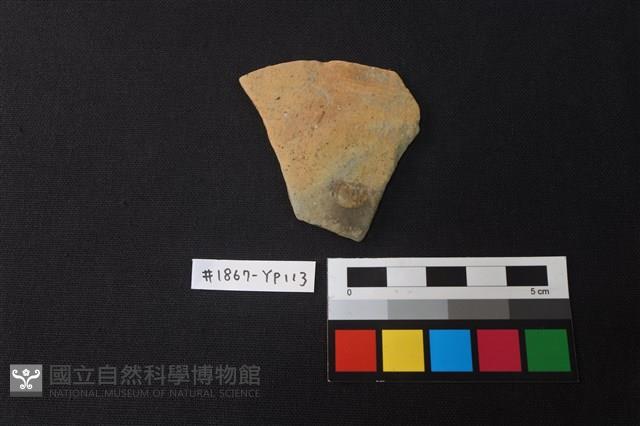 陶片藏品圖，第1張
