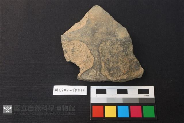 陶片藏品圖，第1張