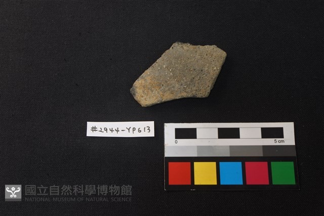 陶片藏品圖，第1張
