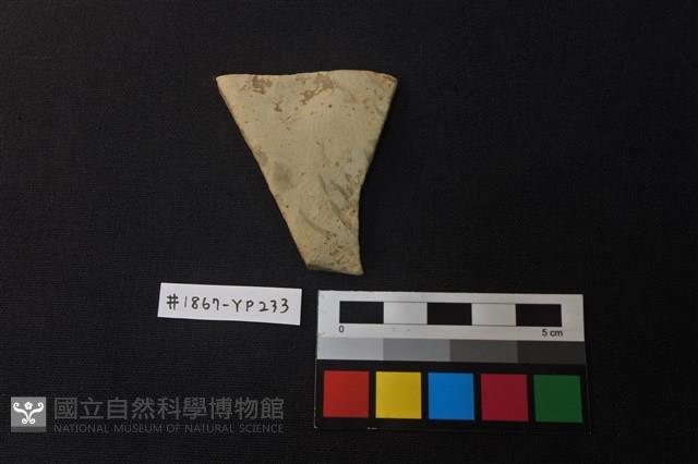 陶片藏品圖，第1張