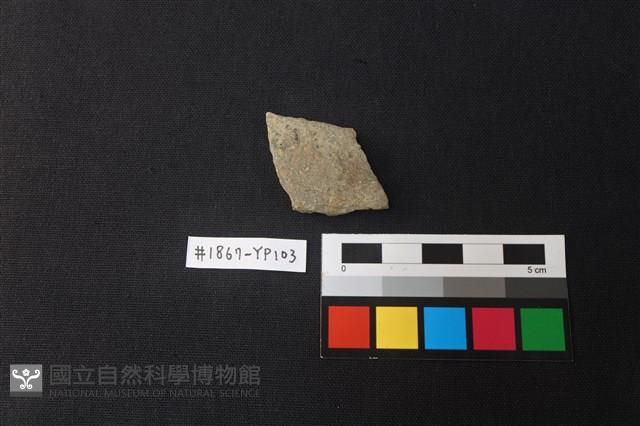 陶片藏品圖，第1張