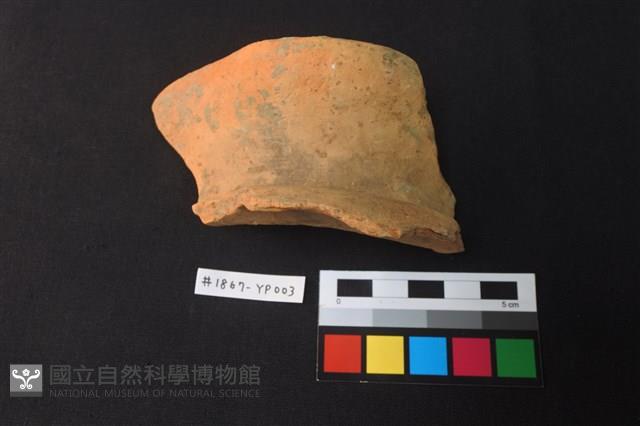 陶片藏品圖，第1張
