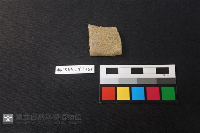 陶片藏品圖，第1張