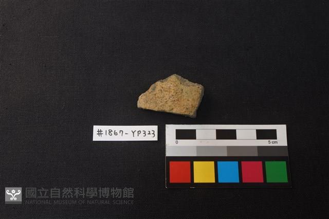 陶片藏品圖，第1張